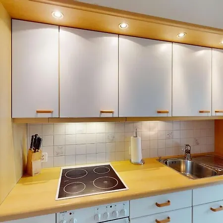 Executive 1 Bedroom Flat, Center *