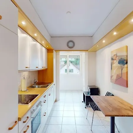 Executive 1 Bedroom Flat, Center Appartement Zurich