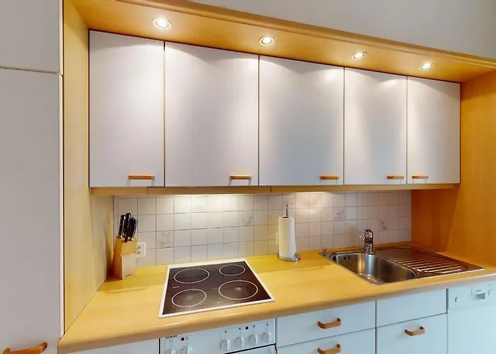 Executive 1 Bedroom Flat, Center *