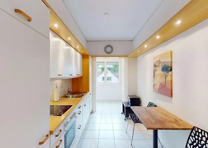 Executive 1 Bedroom Flat, Center شقة زيورخ